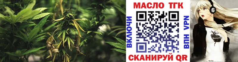 Купить  Камызяк  ТГК концентрат 